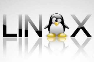Подробный гайд: Как настроить DNS на компьютере с Linux